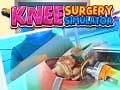 Game Knee Surgery Simulator online. Play for free