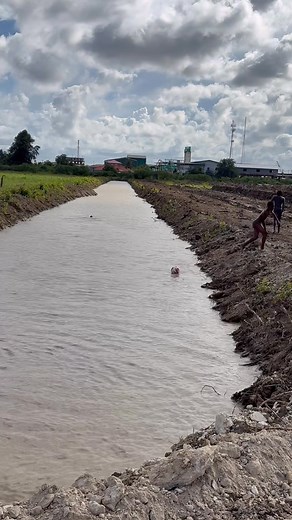 57K views · 561 reactions | The return of the Milky Bomb. This one is in McDoom on the East Bank Demerara. #highlightseveryone | Mervyn Williams | Facebook