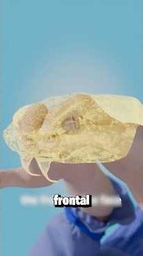 Cómo hacer una víbora con tu mano￼ 😱🐍