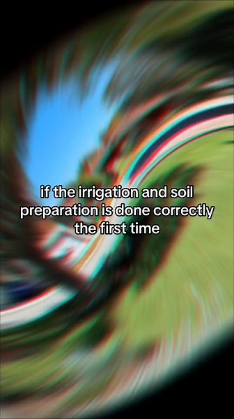 Take a look at this stunning lawn and irrigation renovation I completed last year. 🌿💧 I overhauled the existing irrigation system, upgraded the sprinklers, enriched the soil with high-quality products, and laid down a beautiful new lawn. However, the true credit goes to the dedicated owners who impeccably maintain their garden and lawn. 🏡🌱 They've used Green Life soil products, diligently cared for the lawn, and take immense pride in their garden. Remember, good gardens don't just happen; th