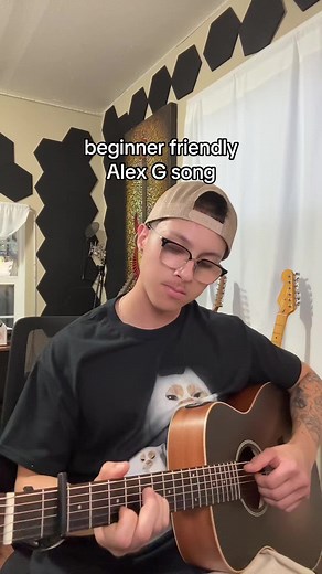 Southern Sky: A Beginner Friendly Alex G Guitar Tutorial