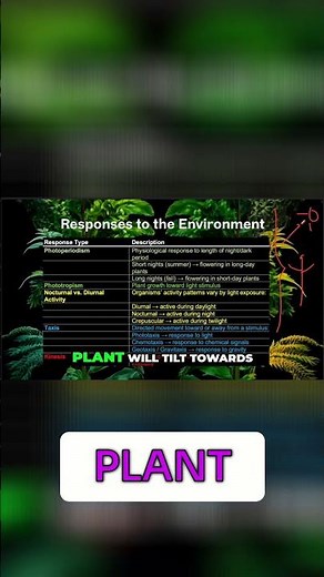 Phototropism: How Plants Bend Towards Sunlight