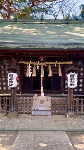 東京・杉並、田端神社の御神木に包まれる。心癒える静謐な参拝 🌿 Sacred Tabata.