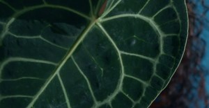 Video by cottonbro studio on Pexels