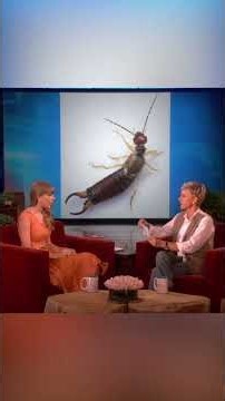 Taylor Swift Talks About Her New Fear