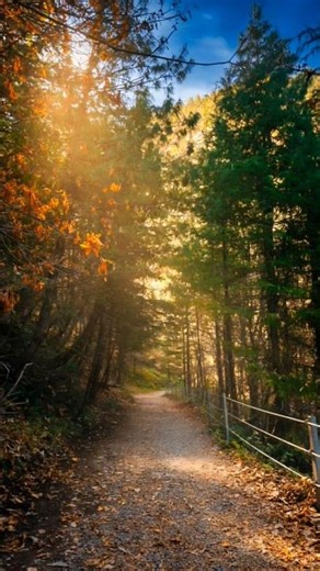 Wait Until You See These Photography Shots 📸 #shorts #photography #landscapeshots