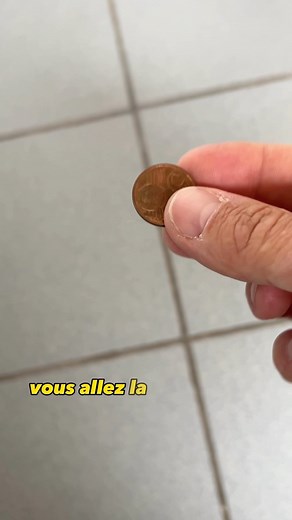 16K views · 1.2K reactions | 2 astuces contre les insectes #insectes #astuce #fourmis #guepes | ThameoS | Facebook