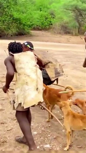 Incredible Archery Skills of African Tribes#hadzabetribe #hunting