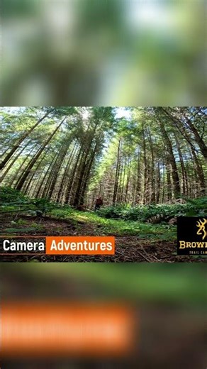 Bloodhounds: The Special, Amazing Dogs You NEED to Know! #shorts