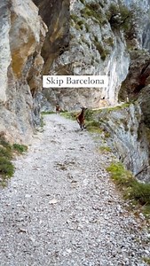 🐐 Save this National Park in Spain in your bucket list 🇪🇸 My favorite place in Spain without any doubt, you’ll find there the most picturesque villages, breathtaking hikes, lakes and viewpoints 🏔️ more beautiful destinations @findingnewness #visitspain #picosdeeuropa #travelbucketlist #naturelovers #hikingadventures #hikes #espana #bucketlist #hiddengems #roadtrippin | Finding Newness