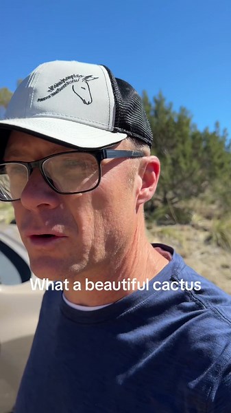This cactus is beautiful #nature #cactus