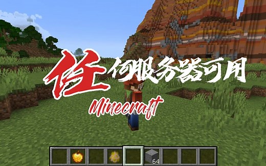我的世界：任何服务器可用模组
