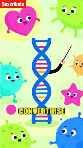 What is the function of DNA in human cells?