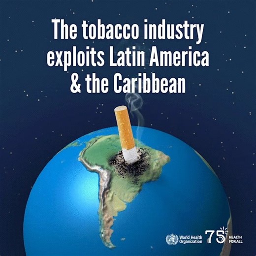 🚨 Tobacco farming destroys the environment 🚨 It leads to ❌ Depletion of water sources, ❌ Large-scale deforestation, ❌ Soil erosion, ❌ Contamination of the air & water systems. Grow food, not tobacco | World Health Organization (WHO)