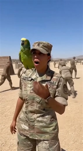 Parrot ruined the entire drill 😂🦜🏃‍♂️ #FunnyParrot #ParrotComedy #ParrotFails #TalkingParrot #PetHumor #BirdLovers #ParrotLife #BirdTok #ParrotTok #PetTok #ViralVideo #ReelsTrending #TrendingNow #MustWatch #LaughOutLoud #ComedyReels #DailyLaughs #InstantSmile #CutePets #FunnyAnimals #AnimalLovers #AnimalComedy #PetReels #AmazonParrot #YellowNapedAmazon #TalkingBird #BirdVoice #SmartParrot #ParrotMoments | Parrots Prank