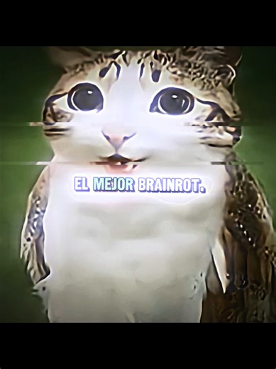 Discover the Best MEOWL Edit for Roblox Enthusiasts