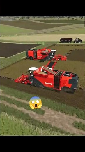 🥔🚜 Potato Harvest with Two Machines! | Farming Simulator 25