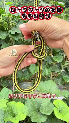 【ロープワークの王様 もやい結び】作り方簡単で用途多彩、万能輪結び丈夫で堅固～ #もやい結び #ロープの王様