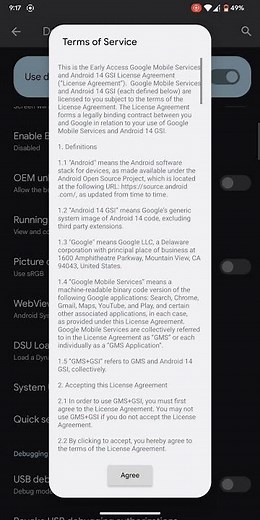 Get Android 14 Dynamic System Update
