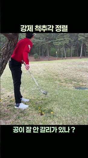 지형지물을 이용한 척추각 정렬 #척추 #척척추 #골프 #golf