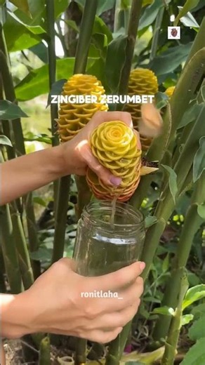 Why Everyone Loves Pressing This Amazing Flower 😱