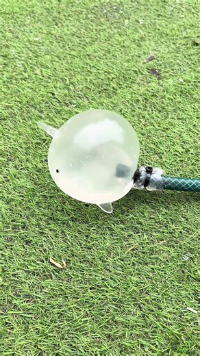 Neil! 😱 #ad toy from PoundToy @PoundToy