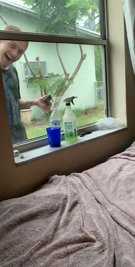 I’m just trying to watch some fucking Hulu and I see my neighbor knocking on my window! #fyp #alligator #hulu #wtf