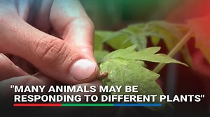 1.1M views · 17K reactions | Researchers at Tel Aviv University said...