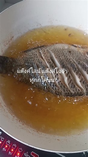 สวัสดียามเช้าจ้าทูกกโคนน มากินข้าวเด้อจ้าว#กับข้าวเช้าวันนี้#เทรนด์วันนี้tiktok