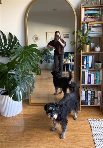 Enhance Your Houseplants with Clever Mirror Placement