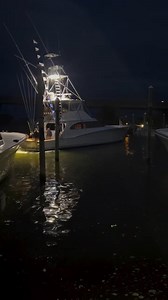 Oregon Inlet, NC - Fender Bender released 8 Blue Marlin and 4 White Marlin. | Billfish Report