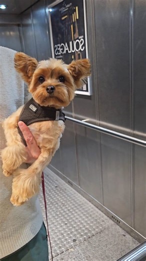 Le Neuvième Passager 🛄 | Le Tout Petit Griotte