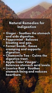 Learn more: https://www.forgottenhomeapothecary.com/post/ | The Forgotten Home Apothecary