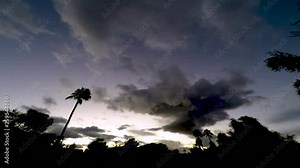 From the rooftop in Scottsdale, Arizona storm clouds fill the sky as the sun sets against a silhouetted foreground of palm trees, bushes, ​and desert plants