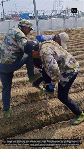 Efficient Way to Drive Greenhouse Posts Without a Hammer