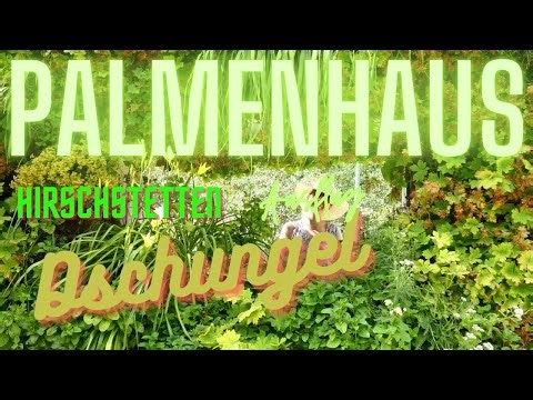 Palmenhaus Regenwaldhaus Blumengärten Hirschstetten März Xiaomi Mi Note 10 Lite DJI Osmo Mobile 3