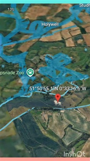 I found a structure of Lion in Google Earth.