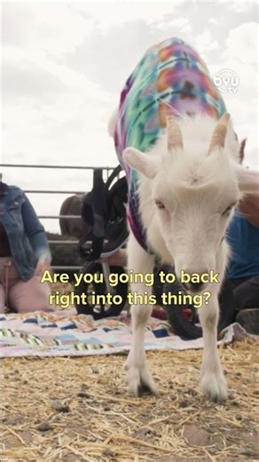 Agatha the Two-Legged Goat | Wizard of Paws | BYUtv