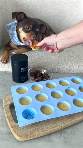 These 3 ingredient DIY treats are packed with antioxidants to help soothe and heal your dogs itchy skin!! Ingredients 1 cup coconut oil 1 tsp turmeric 1 tbsp bee pollen #dogishuman #dogsofinstagram #dogstyle #dogs #dogsofnyc #dogslover #dogsdaily #dogmom #dogmomlife #dogmodel #doghealth #doglovers #doglove #doglife #doglover #dogmom #dogmomlife #doghealth #canine #canineenrichment | Dog is Human