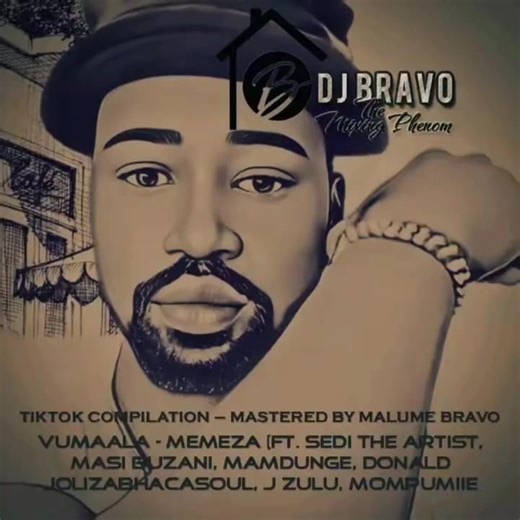 Memeza Compilation Featuring Malume Bravo