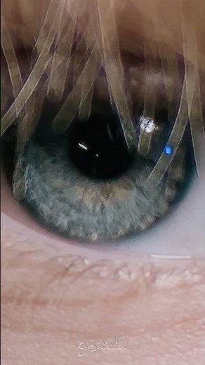 Eye Zoom - Nikon Z8 & 85mm f1.2