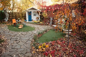 The City Gardener: When autumn leaves start to fall