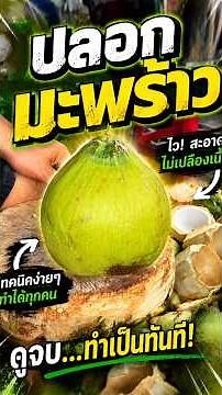 ปลอกมะพร้าว