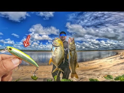 🏆🏆 Robalo na Praia: Estratégias Infalíveis com Iscas Artificiais para Peixes Gigantes - Pescaria