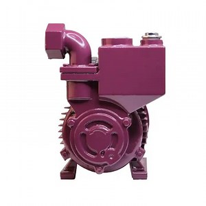 [Hot Item] Izdb 100% Copper Surface Self Priming Vortex Household Pressure Water Pump