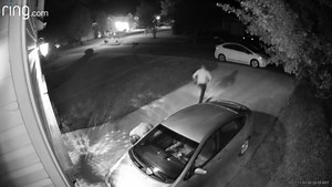 17K views · 84 reactions | These two need to be identified in reference to an active investigation. If you can identify, notify Master Deputy D Shaffer at (864) 503-4682 or dshaffer@spartanburgcounty.org ref case # 21050529. | Spartanburg County Sheriff's Office | Facebook