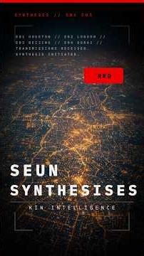 Kin Intelligence S01E05: Seun Synthesises