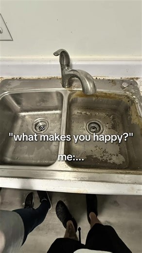 Gainesville's Gator Nest Cleaning Services