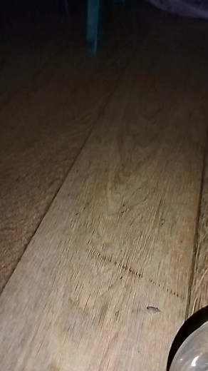 Відео користувача клан (@rvota_enota_1) з композицією «оригінальний звук - клан»