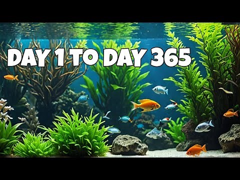 No CO2, No Fertz, No Filter, No Water Change